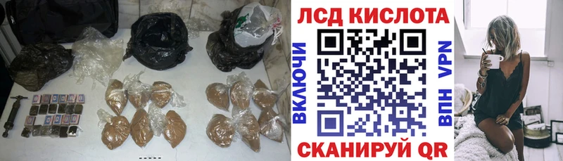 купить закладку  Бердск  ЛСД экстази ecstasy 
