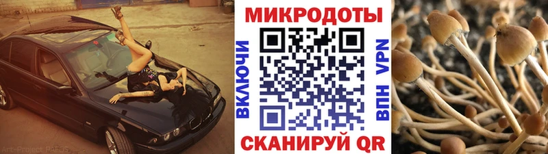 Галлюциногенные грибы прущие грибы Бердск